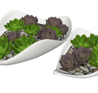 多肉植物景观su模型下载_sketchup草图大师SKP模型