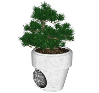 盆栽松树su模型下载_sketchup草图大师SKP模型