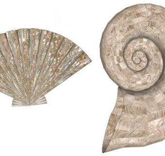 贝壳海螺su模型下载_sketchup草图大师SKP模型