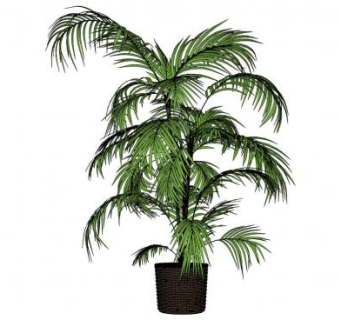 大型盆栽su模型下载_sketchup草图大师SKP模型