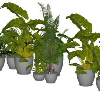 室内绿植盆景su模型下载_sketchup草图大师SKP模型