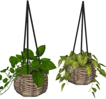 吊花篮su模型下载_sketchup草图大师SKP模型