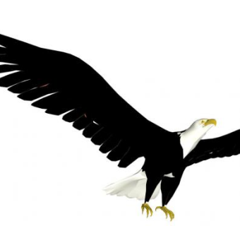 老鹰su模型下载_sketchup草图大师SKP模型