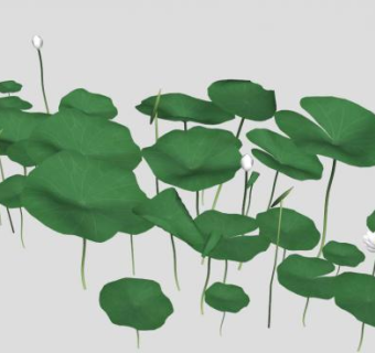 水池白荷荷花莲花SU模型下载_sketchup草图大师SKP模型