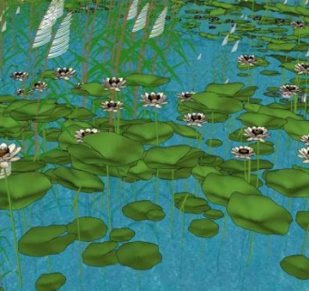 荷花群su模型下载_sketchup草图大师SKP模型