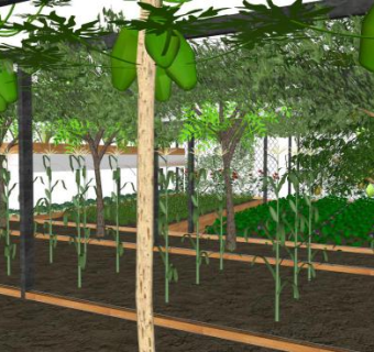 农业采摘园su模型下载_sketchup草图大师SKP模型