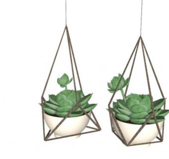 多肉植物su模型下载_sketchup草图大师SKP模型