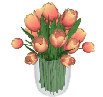 郁金香su模型下载_sketchup草图大师SKP模型