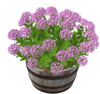 盆中花su模型下载_sketchup草图大师SKP模型