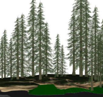 现代园林树景景观SU模型下载_sketchup草图大师SKP模型
