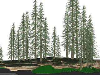 现代园林树景景观SU模型下载_sketchup草图大师SKP模型