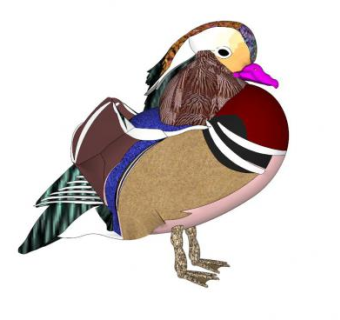 鸳鸯SU模型下载_sketchup草图大师SKP模型