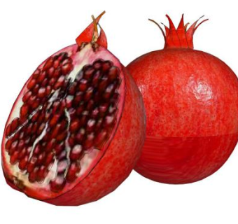 石榴su模型下载_sketchup草图大师SKP模型