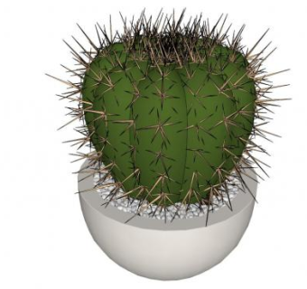 球状植物su模型下载_sketchup草图大师SKP模型