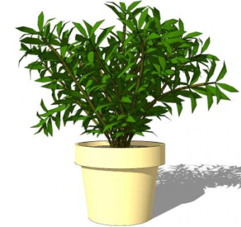 绿植小盆栽su模型下载_sketchup草图大师SKP模型