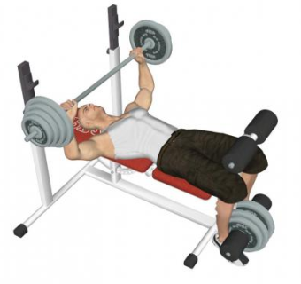 健身人物su模型下载_sketchup草图大师SKP模型