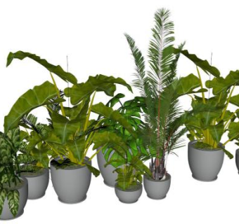 入口盆景su模型下载_sketchup草图大师SKP模型