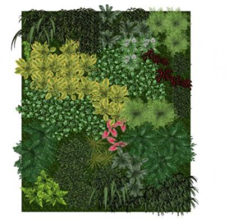 垂直植物su模型下载_sketchup草图大师SKP模型