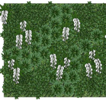 室内绿植墙su模型下载_sketchup草图大师SKP模型