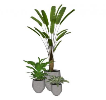 精品室内盆栽su模型下载_sketchup草图大师SKP模型