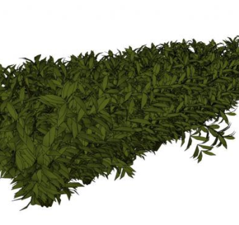 丛生植物su模型下载_sketchup草图大师SKP模型