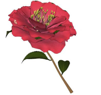 蔷薇su模型下载_sketchup草图大师SKP模型