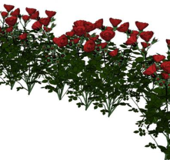 玫瑰花丛su模型下载_sketchup草图大师SKP模型