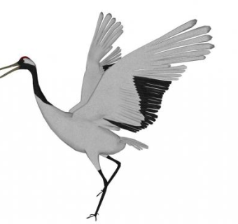 仙鹤小鸟su模型下载_sketchup草图大师SKP模型