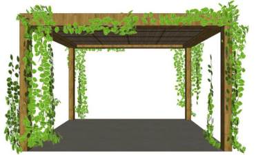 蔓藤植物su模型下载_sketchup草图大师SKP模型