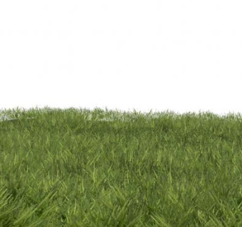 草坪小品su模型下载_sketchup草图大师SKP模型