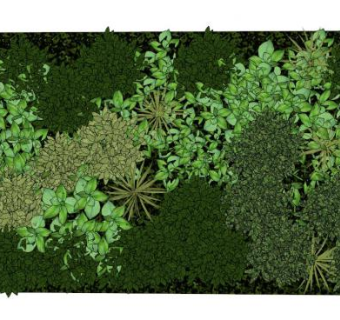 植物墙面su模型下载_sketchup草图大师SKP模型