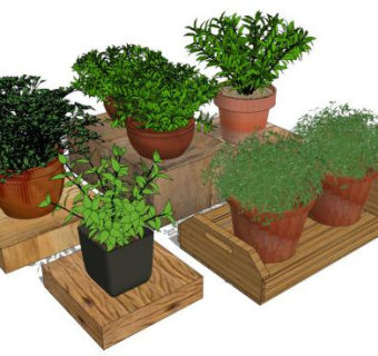 盆栽景观小品su模型下载_sketchup草图大师SKP模型