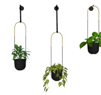 垂挂植物su模型下载_sketchup草图大师SKP模型