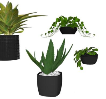 吊篮花盆盆栽su模型下载_sketchup草图大师SKP模型