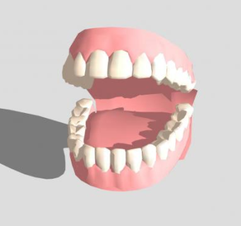 牙齿SU模型下载_sketchup草图大师SKP模型