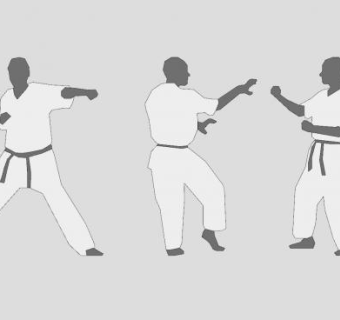 2D跆拳道剪影人物SU模型下载_sketchup草图大师SKP模型