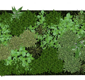 垂直绿化植物墙面su模型下载_sketchup草图大师SKP模型