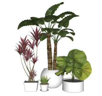 植物盆景盆栽su模型下载_sketchup草图大师SKP模型