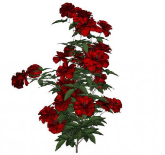 攀援玫瑰su模型下载_sketchup草图大师SKP模型