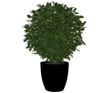 盆栽小灌木球su模型下载_sketchup草图大师SKP模型