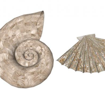 贝壳元素su模型下载_sketchup草图大师SKP模型