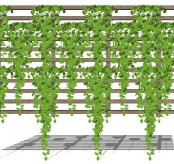 爬山虎绿化墙su模型下载_sketchup草图大师SKP模型