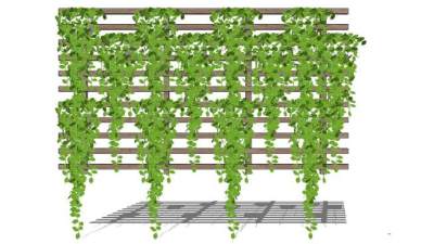 爬山虎绿化墙su模型下载_sketchup草图大师SKP模型