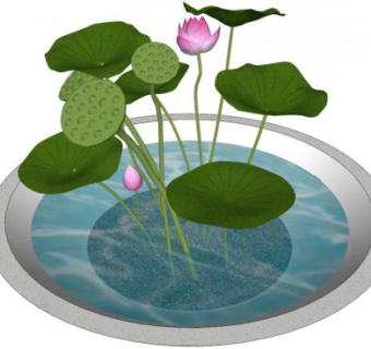 荷花莲蓬场景su模型下载_sketchup草图大师SKP模型
