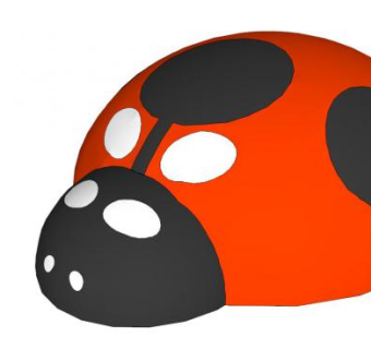 甲虫su模型下载_sketchup草图大师SKP模型