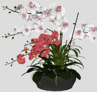 写意花卉su模型下载_sketchup草图大师SKP模型