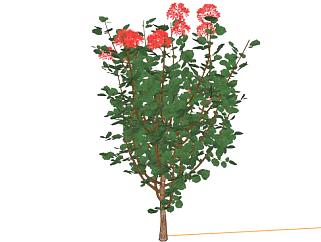 东南亚植物su模型下载_sketchup草图大师SKP模型