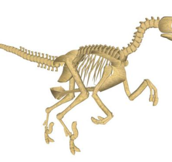 恐龙骨架的su模型下载_sketchup草图大师SKP模型
