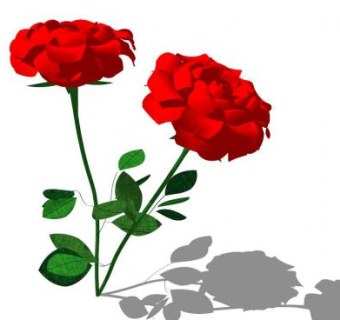 盛开玫瑰花su模型下载_sketchup草图大师SKP模型