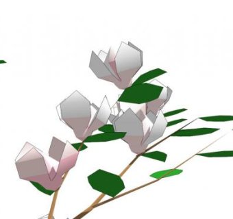 白玉兰花su模型下载_sketchup草图大师SKP模型